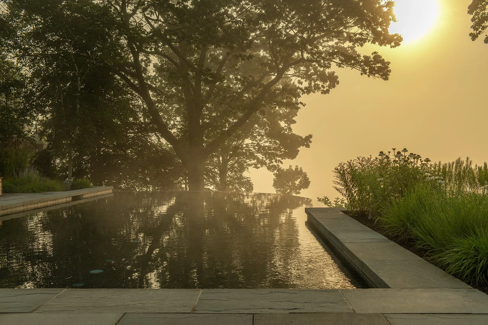 FRANCOIS GAGNE_0715254687.jpg