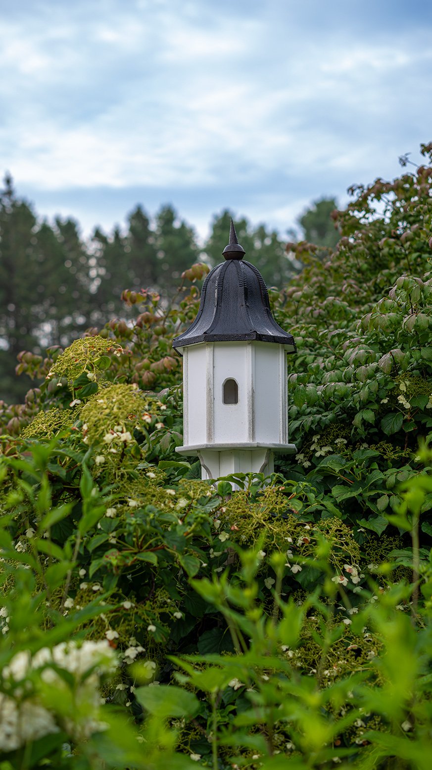 FRANCOIS GAGNE_0807250423.jpg