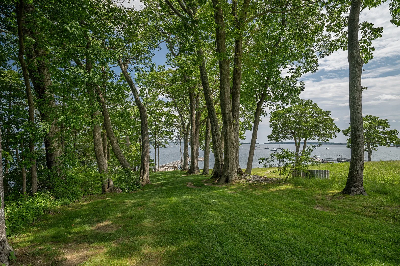 REMAX_0613253341.jpg
