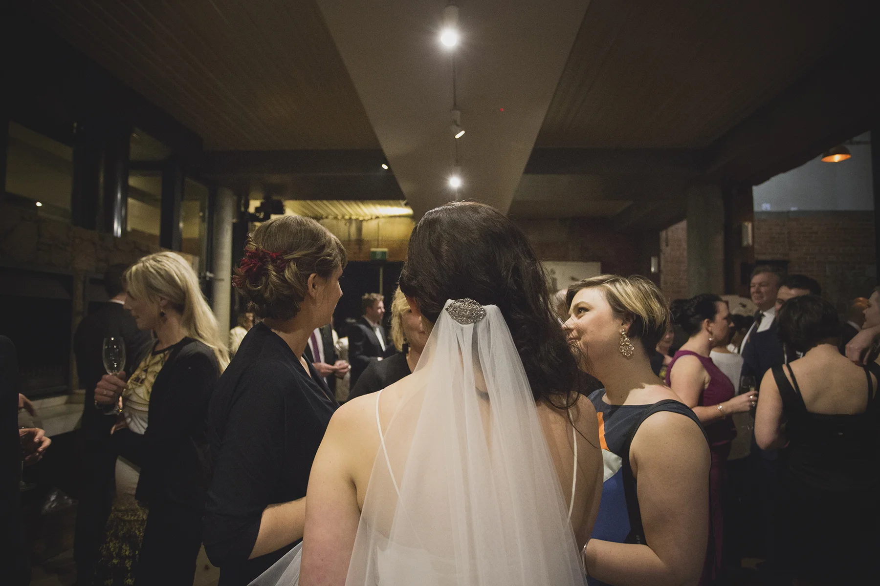 254Cat_Black2016_Claire&Eamon2016_WEB.jpg