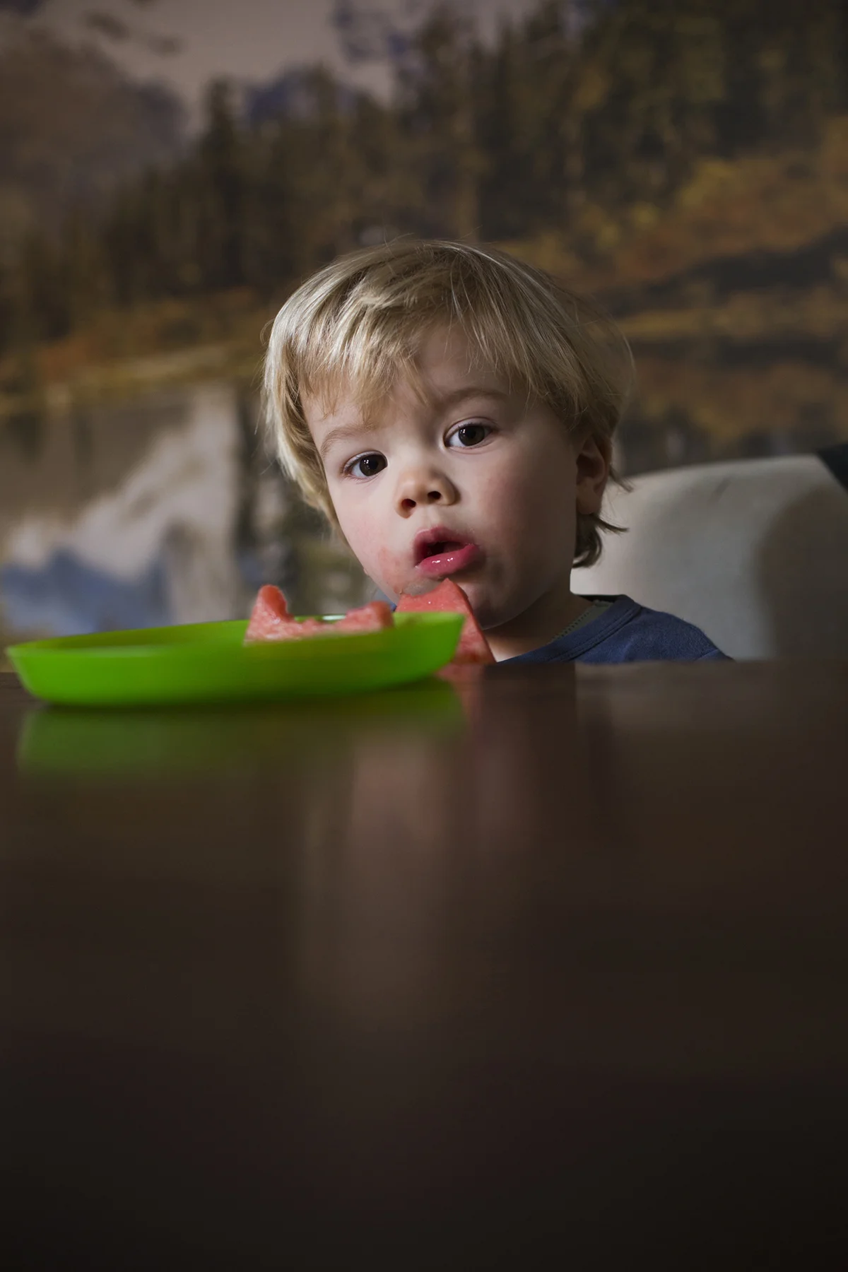 013CatBlack2017_KathCollette_WEB.jpg