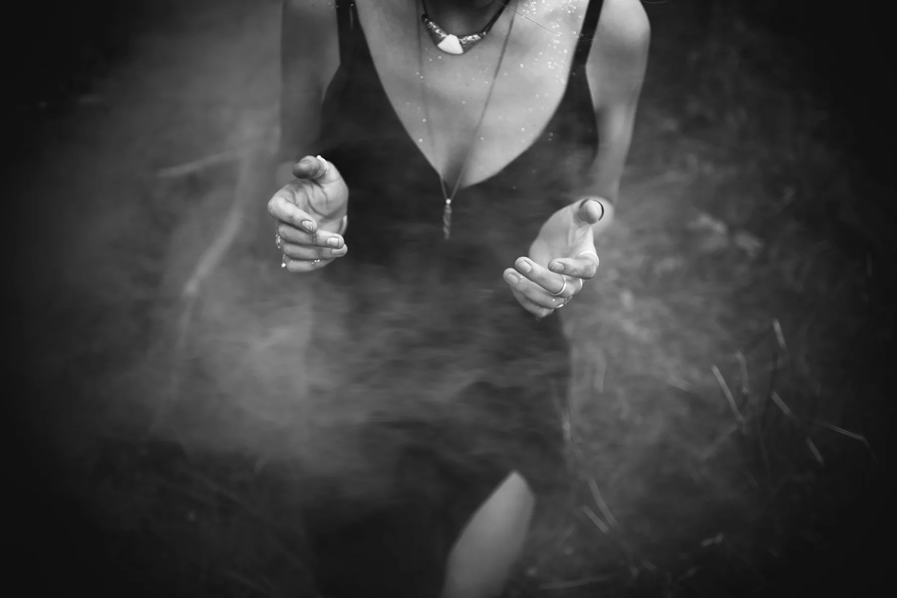 006CatBlack2017_RoseAlea_Daylsford_WEB.jpg