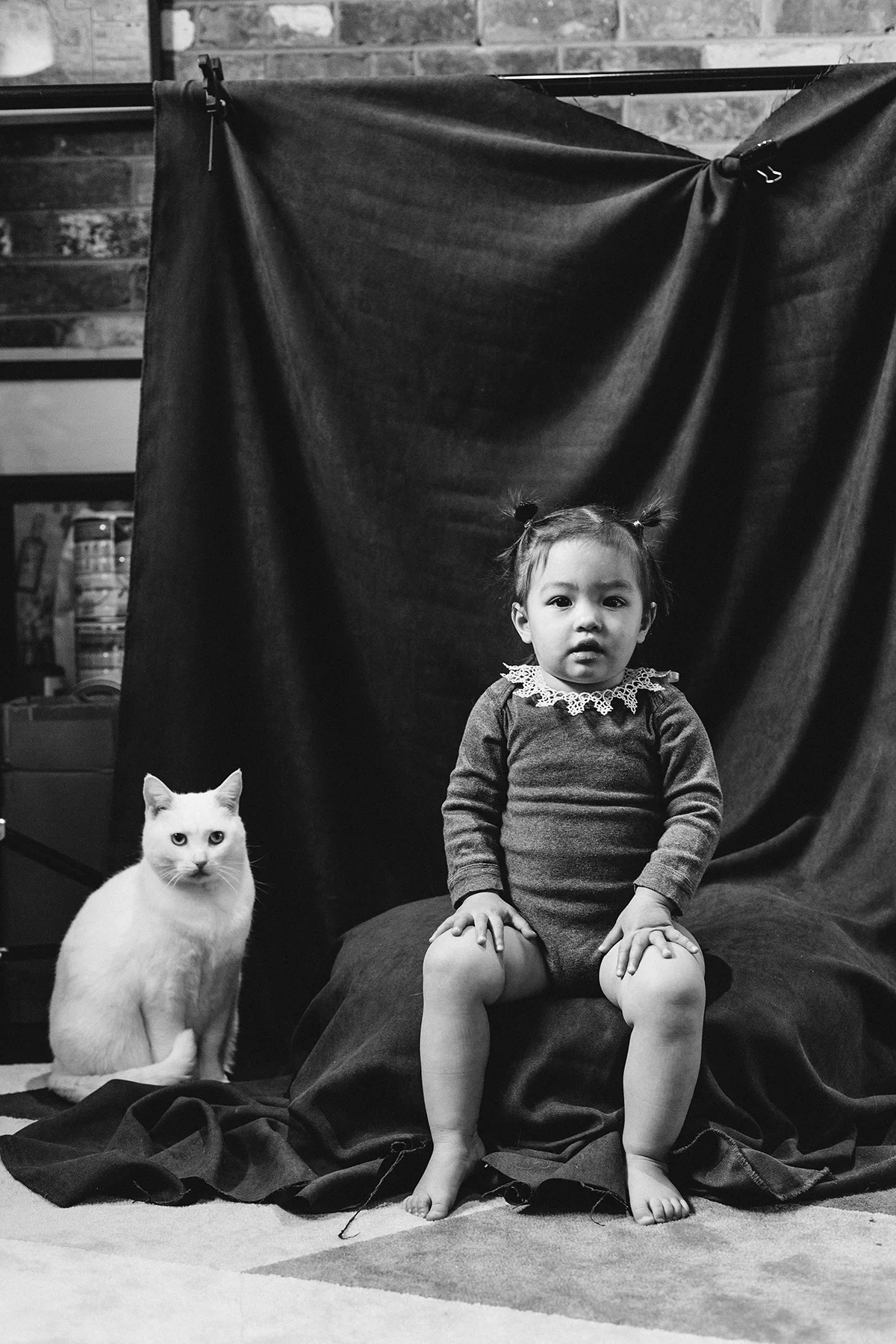 006_CatBlack2018_MelbournePhotographer_WEB.jpg