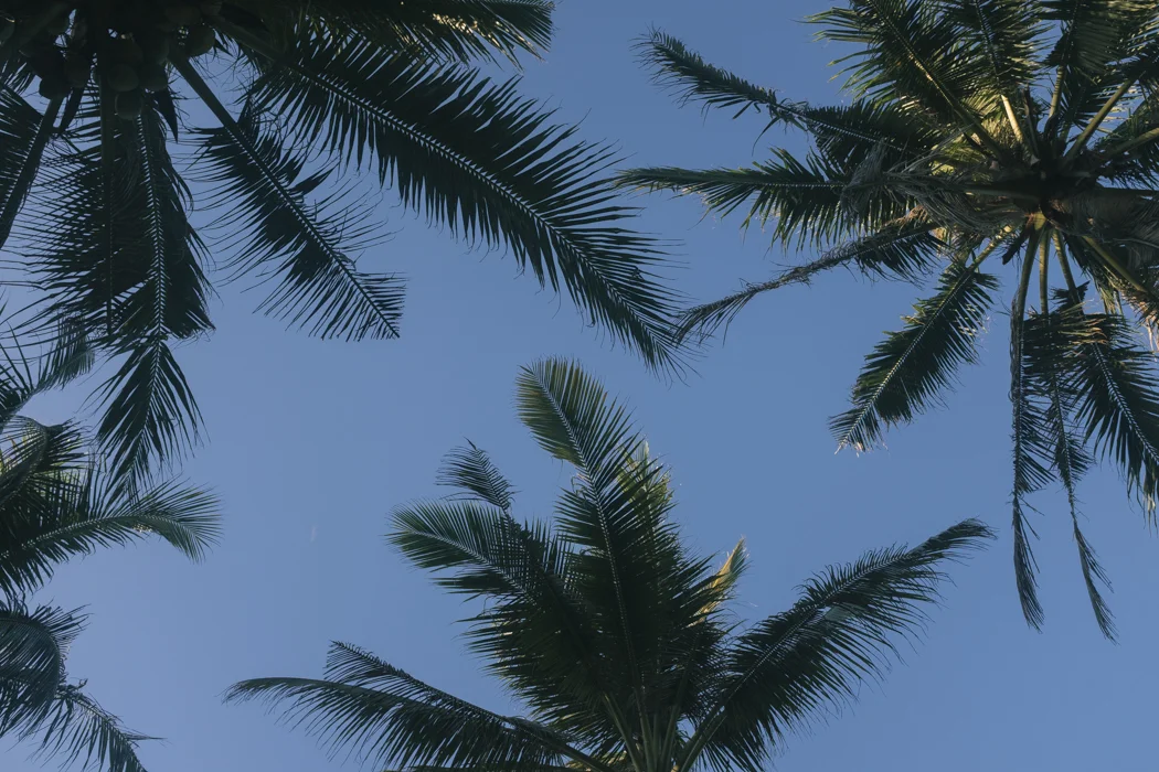 006_CatBlack2019_Siargao_WEB.jpg