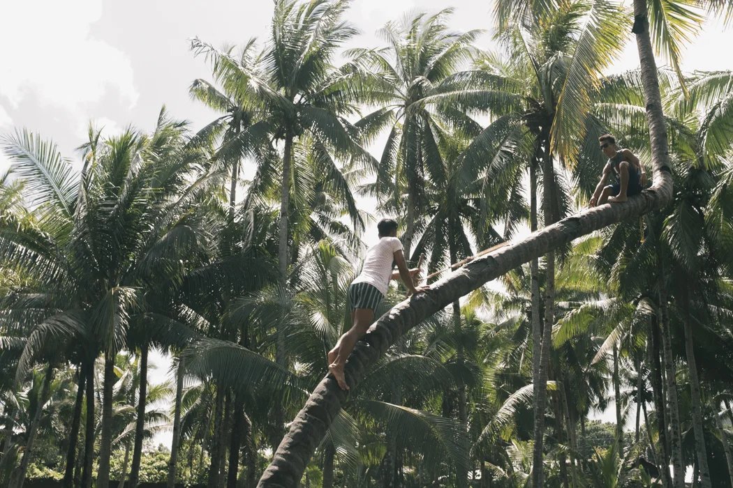028_CatBlack2019_Siargao_WEB.jpg