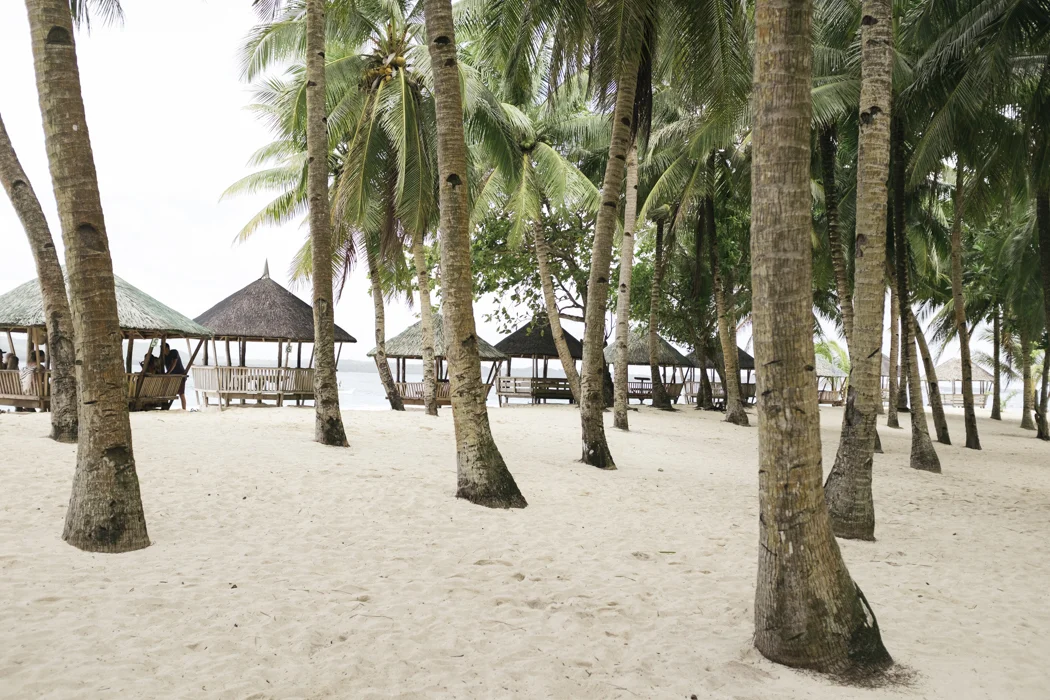060_CatBlack2019_Siargao_WEB.jpg