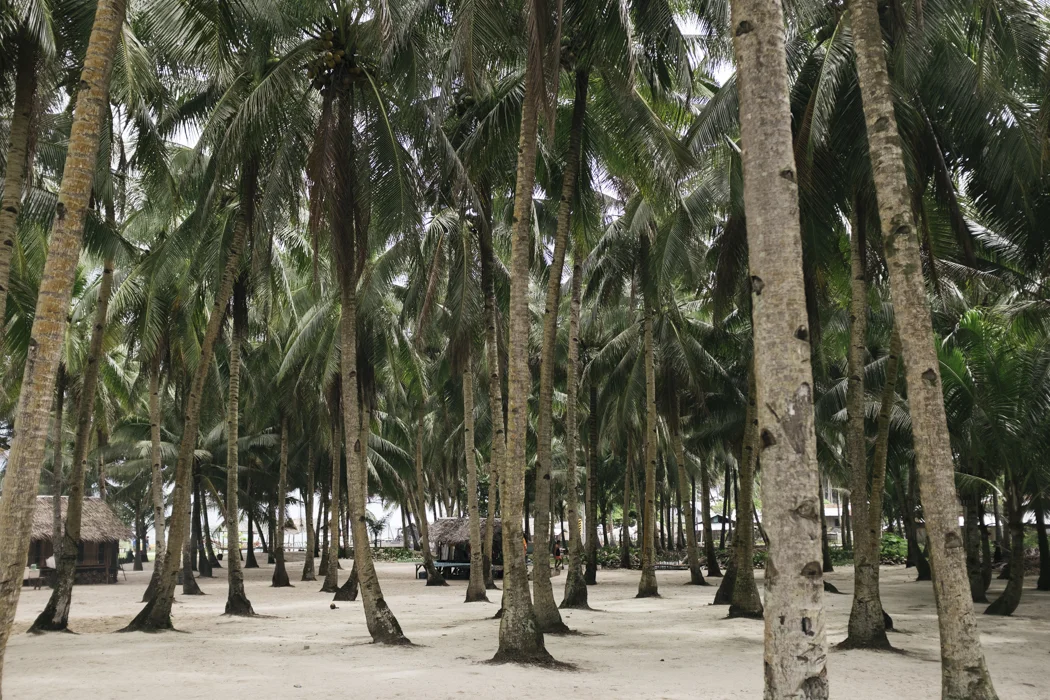 062_CatBlack2019_Siargao_WEB.jpg