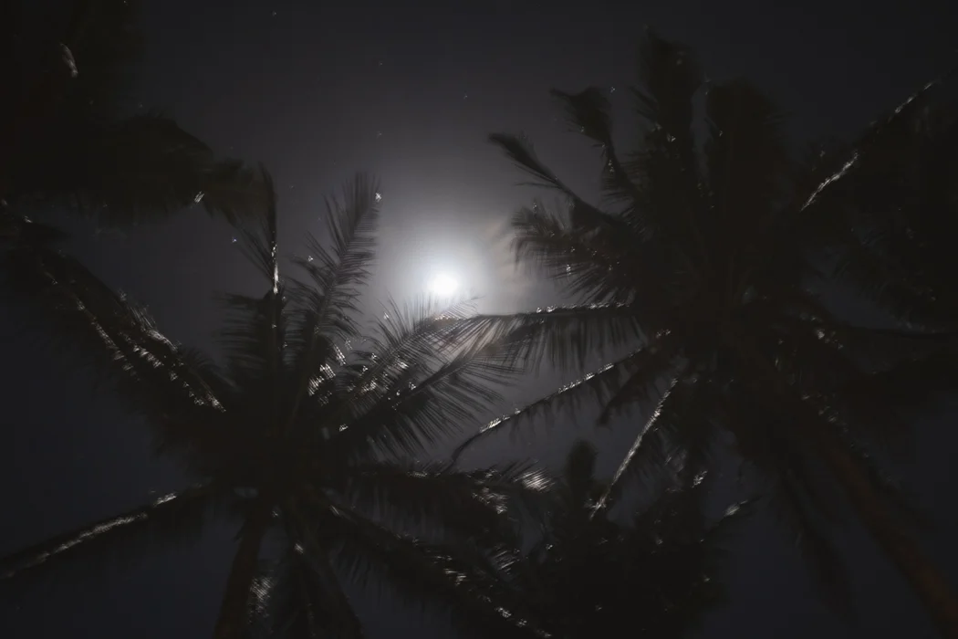 159_CatBlack2019_Siargao_WEB.jpg
