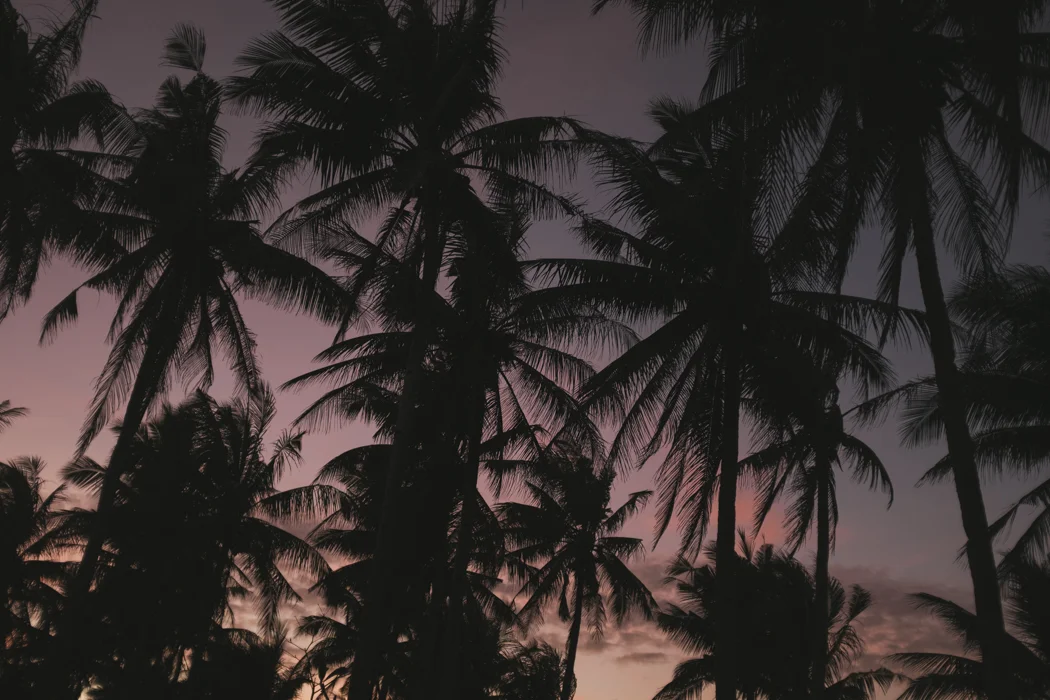 CatBlack_Melbournephotographer_Siargao.jpg