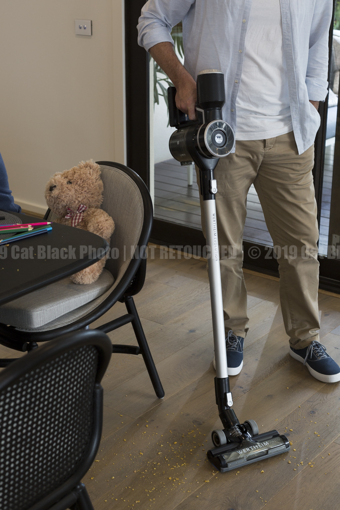 013_CatBlack2019_Godfreys_Previews.jpg