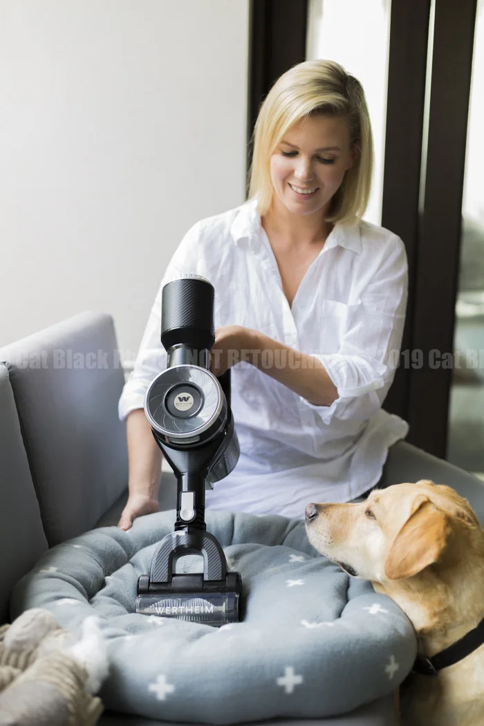 018_CatBlack2019_Godfreys_Previews.jpg