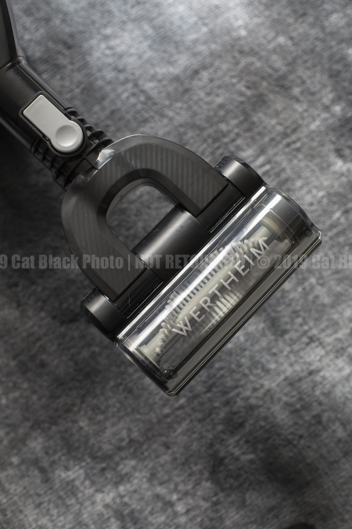 023_CatBlack2019_Godfreys_Previews.jpg