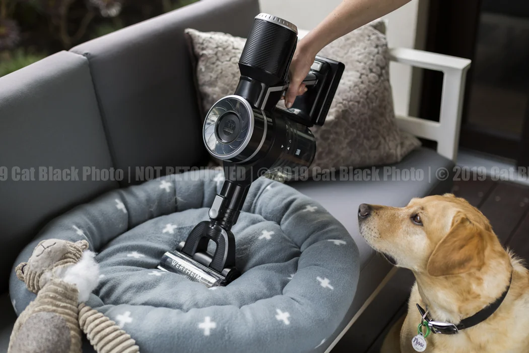 021_CatBlack2019_Godfreys_Previews.jpg
