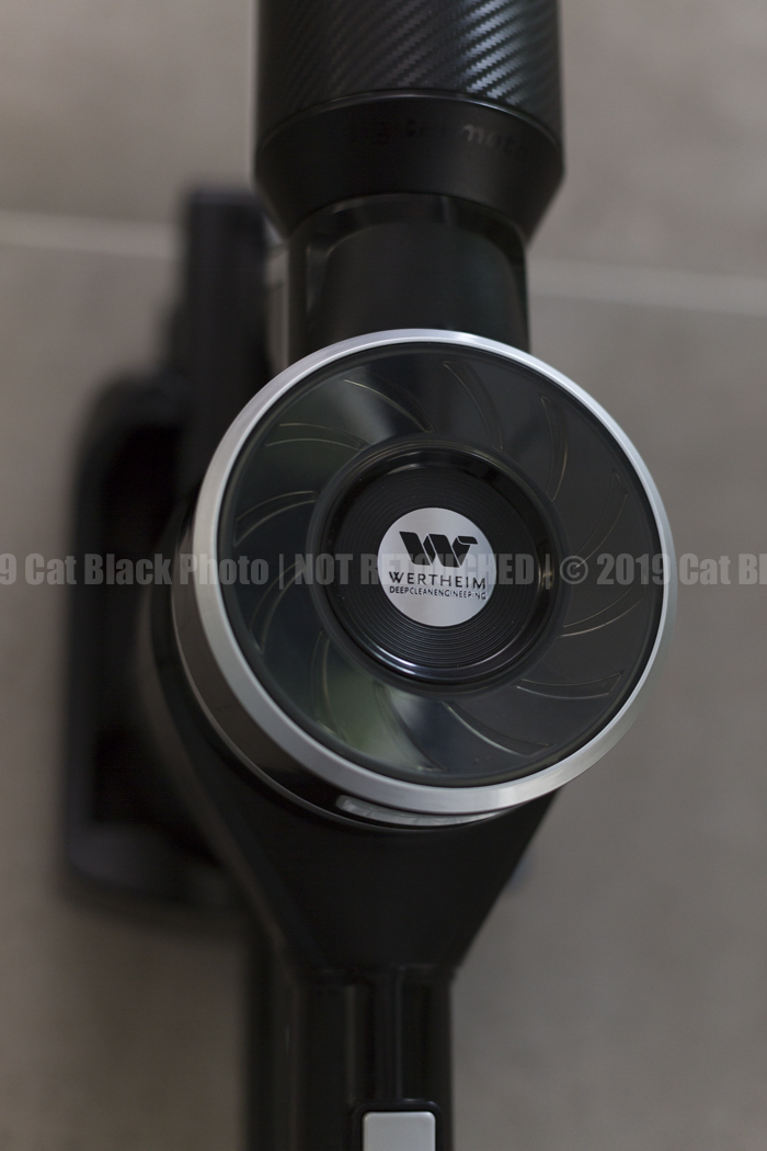 042_CatBlack2019_Godfreys_Previews.jpg