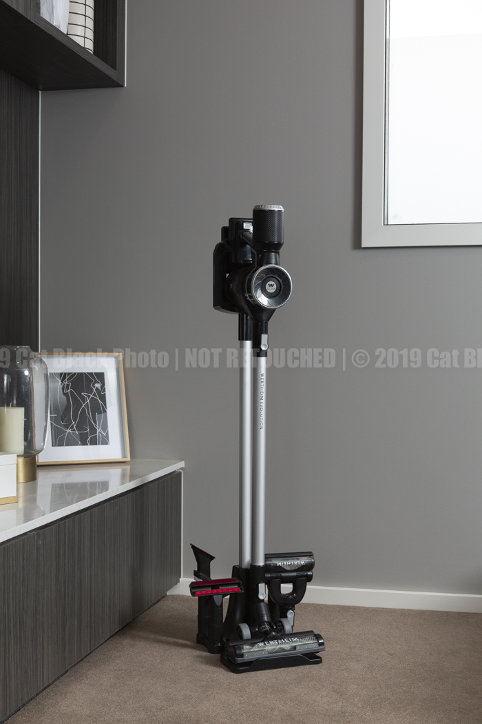 093_CatBlack2019_Godfreys_Previews.jpg