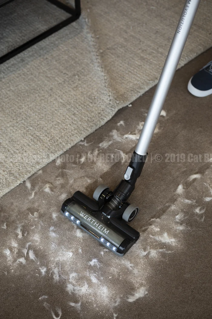 085_CatBlack2019_Godfreys_Previews.jpg