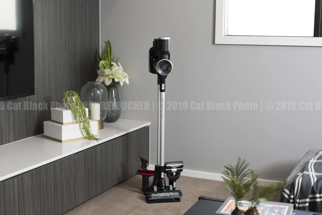090_CatBlack2019_Godfreys_Previews.jpg