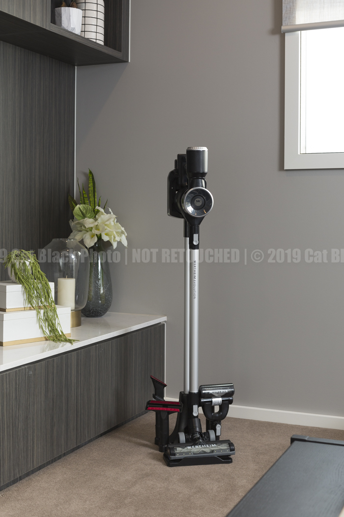 097_CatBlack2019_Godfreys_Previews.jpg