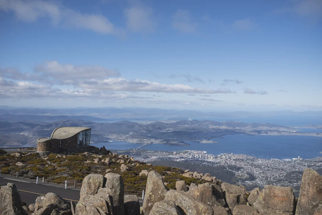 071_CatBlack2019_Tasmania+Paynesville_WEB.jpg