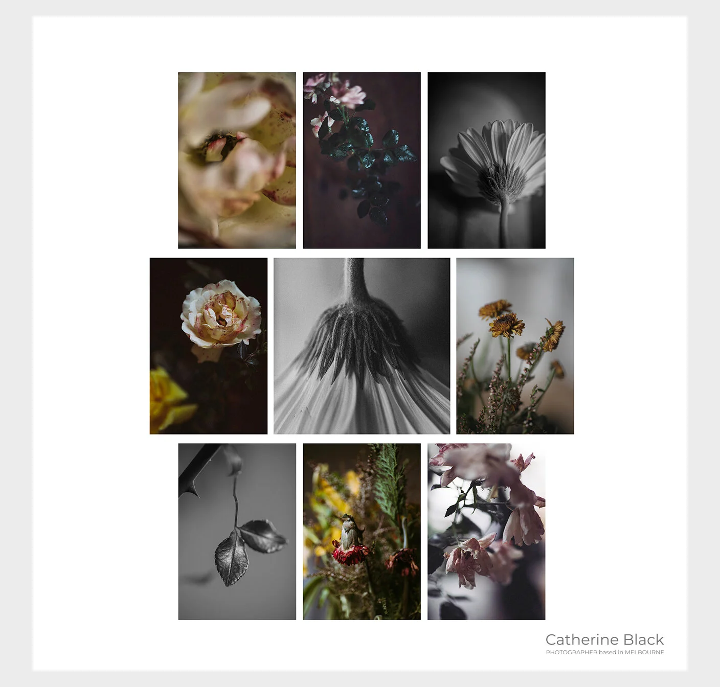 004_CatherineBlack_WEB.jpg