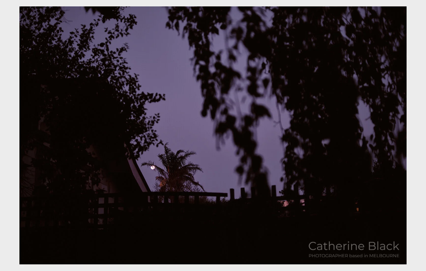 310__CatherineBlack_Lockdown2.0_WEB.jpg