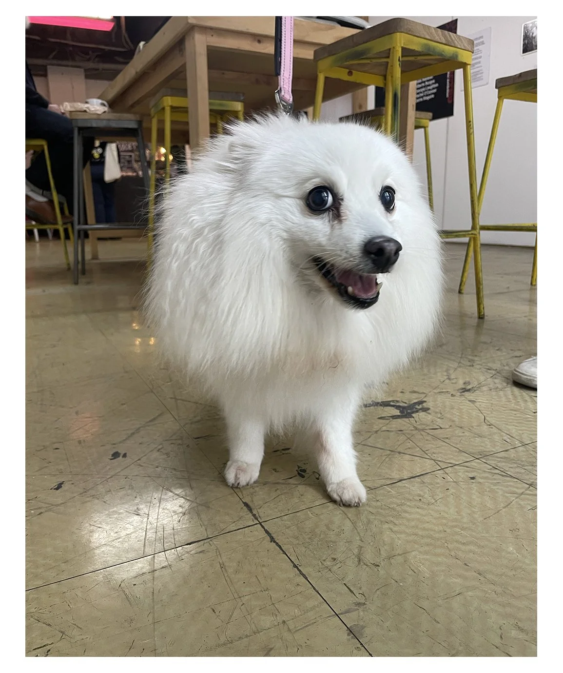 043 copy.jpg
