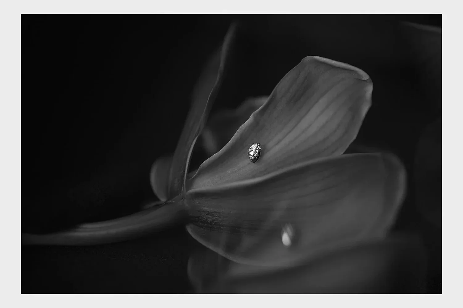007_2026_CatherineBlack_JewelleryPhotographer.jpg.webp