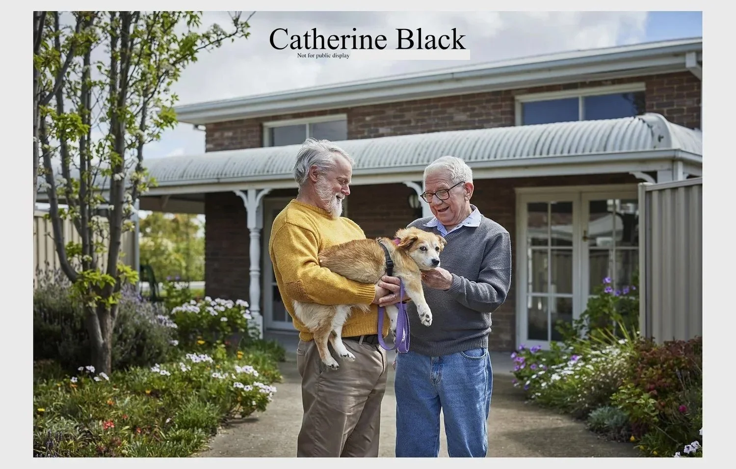 020_CatBlack2026_Lifestyle.jpg