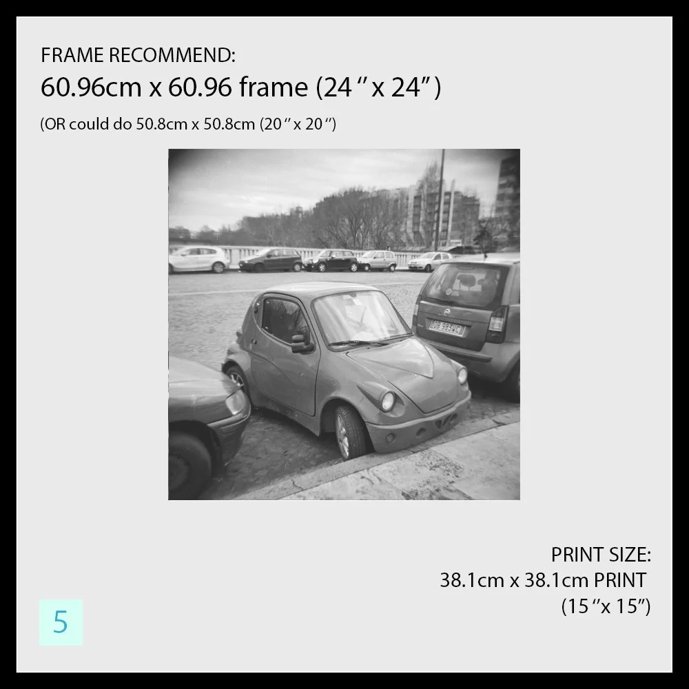 005_CatBlack2026_ArtworkMockup.jpg