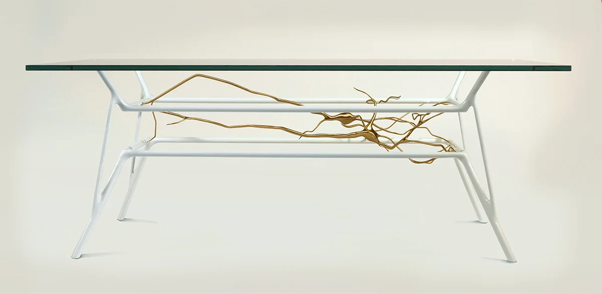 neurontable.jpg