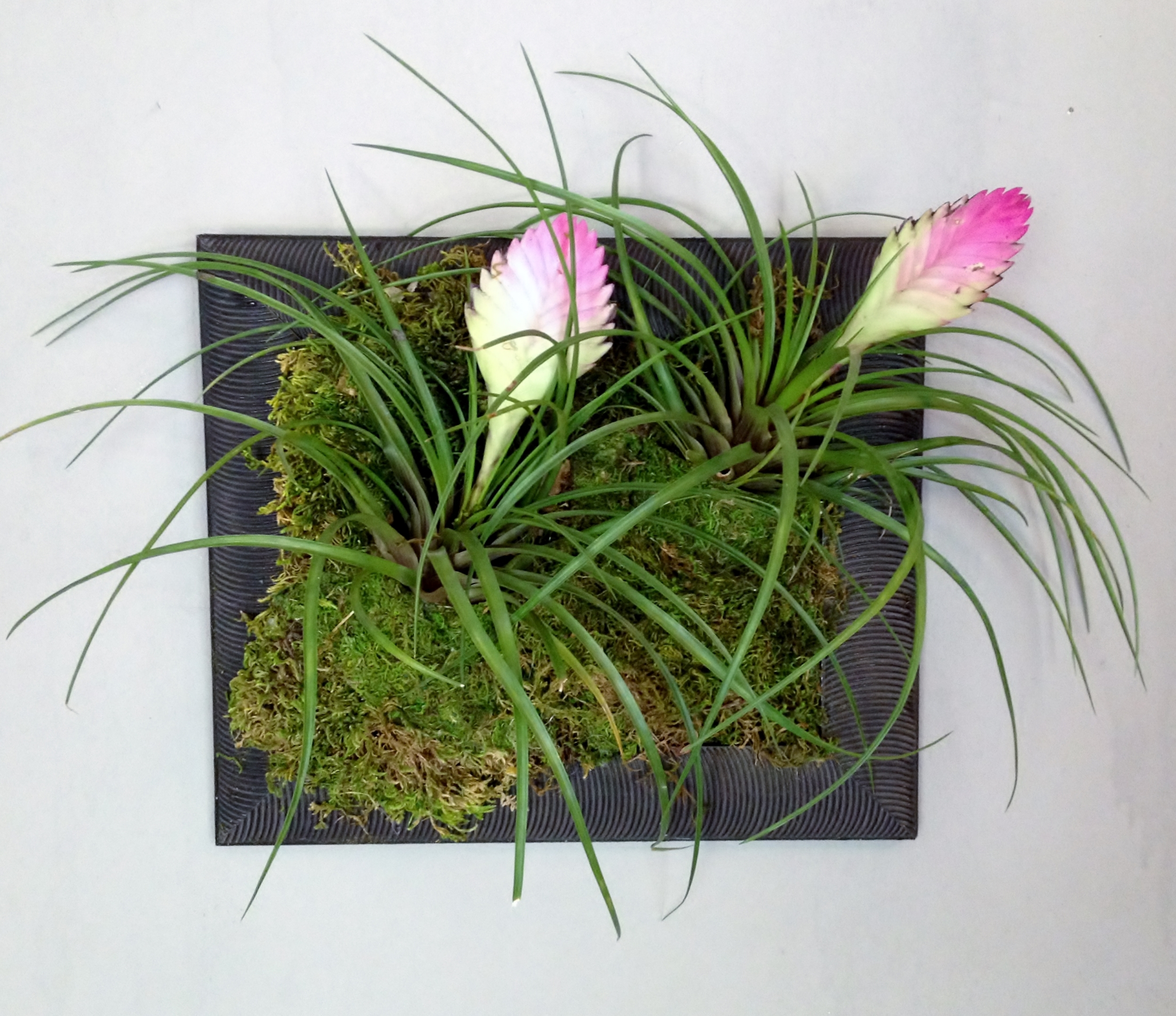 Finished Product.JPG