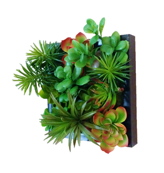 Faux Succulent Living Wall  Edible Walls