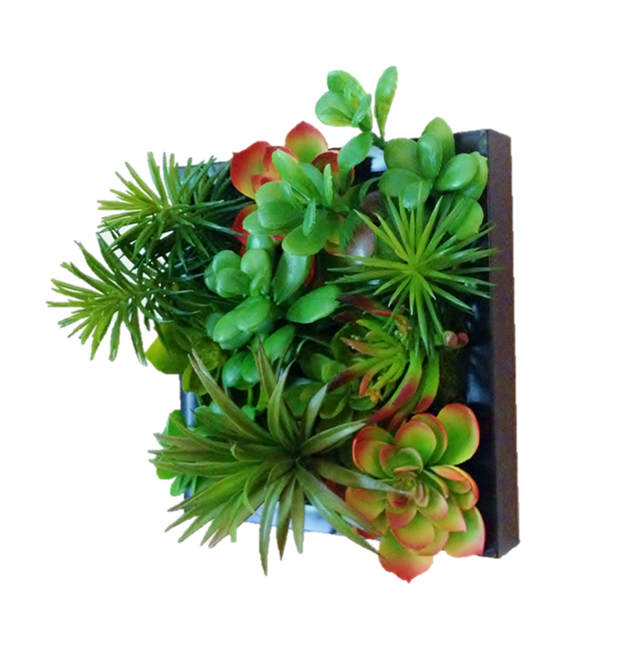 Faux Succulent Living Wall — Edible Walls