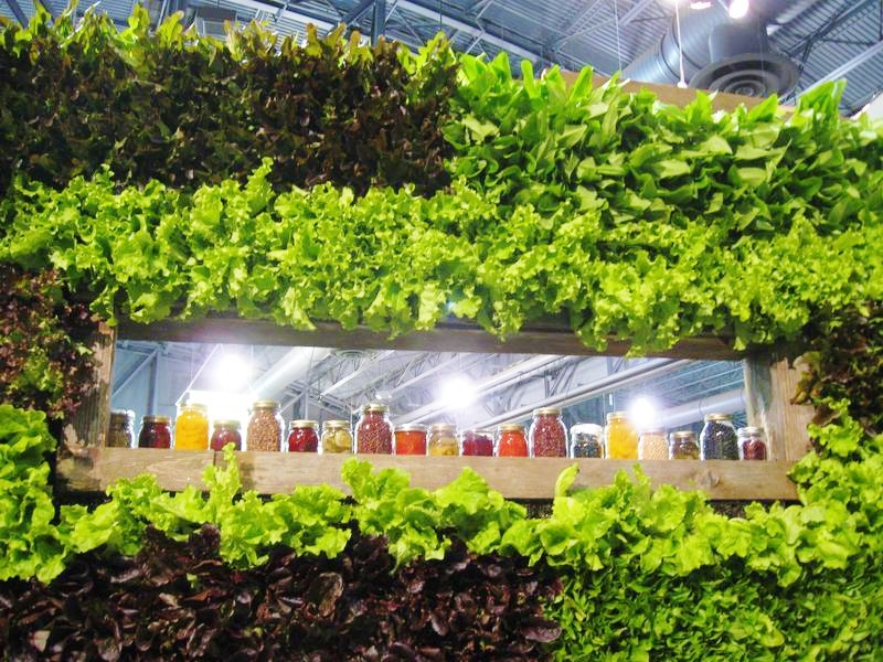 Living Lettuce Wall at the Philadelphia Flower Show 2012 