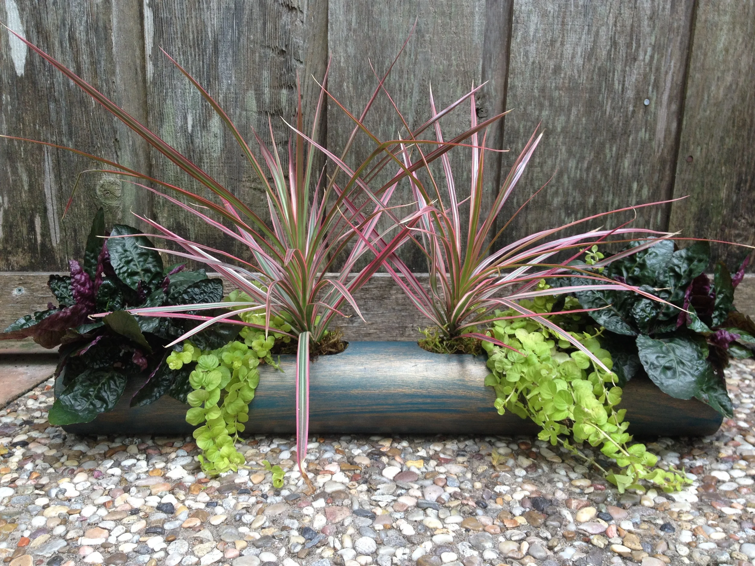 Tropical Cylinder Patina.JPG