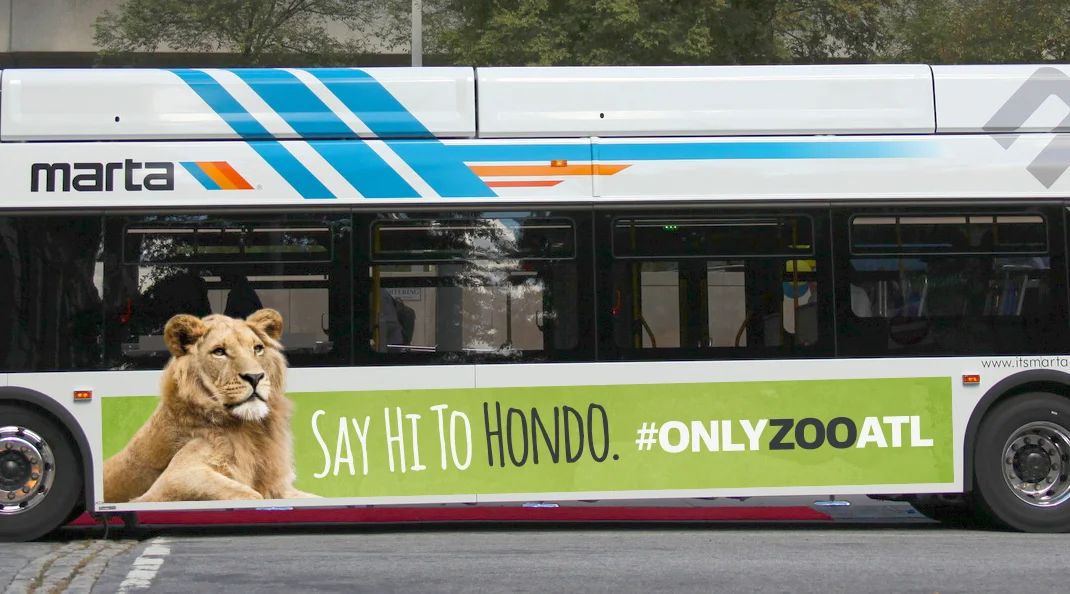 Hondo_MartaBus.jpg