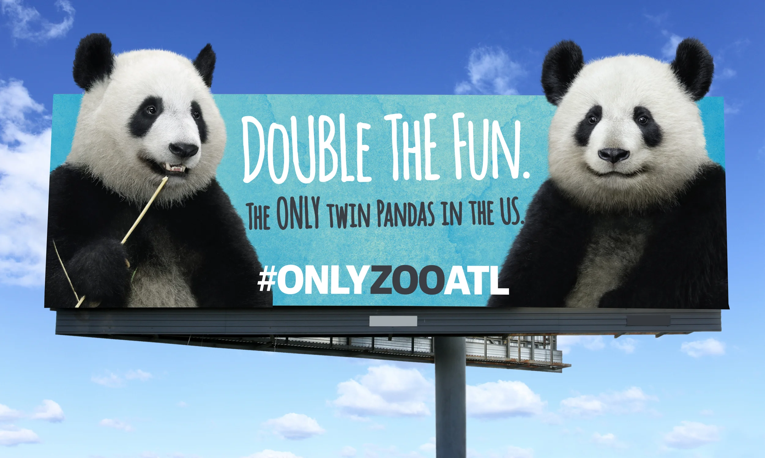 PandaOOH.jpg