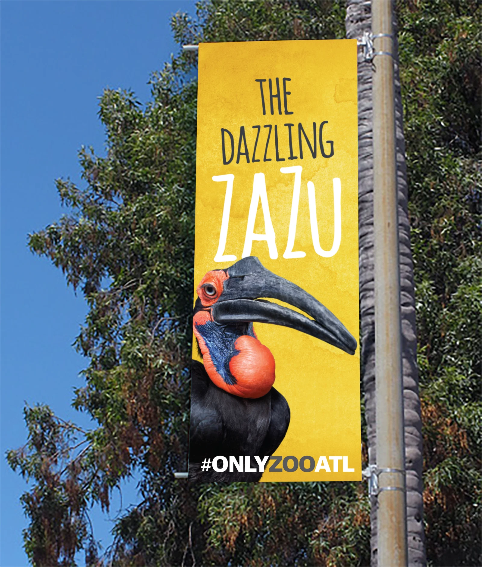 Zazu.jpg