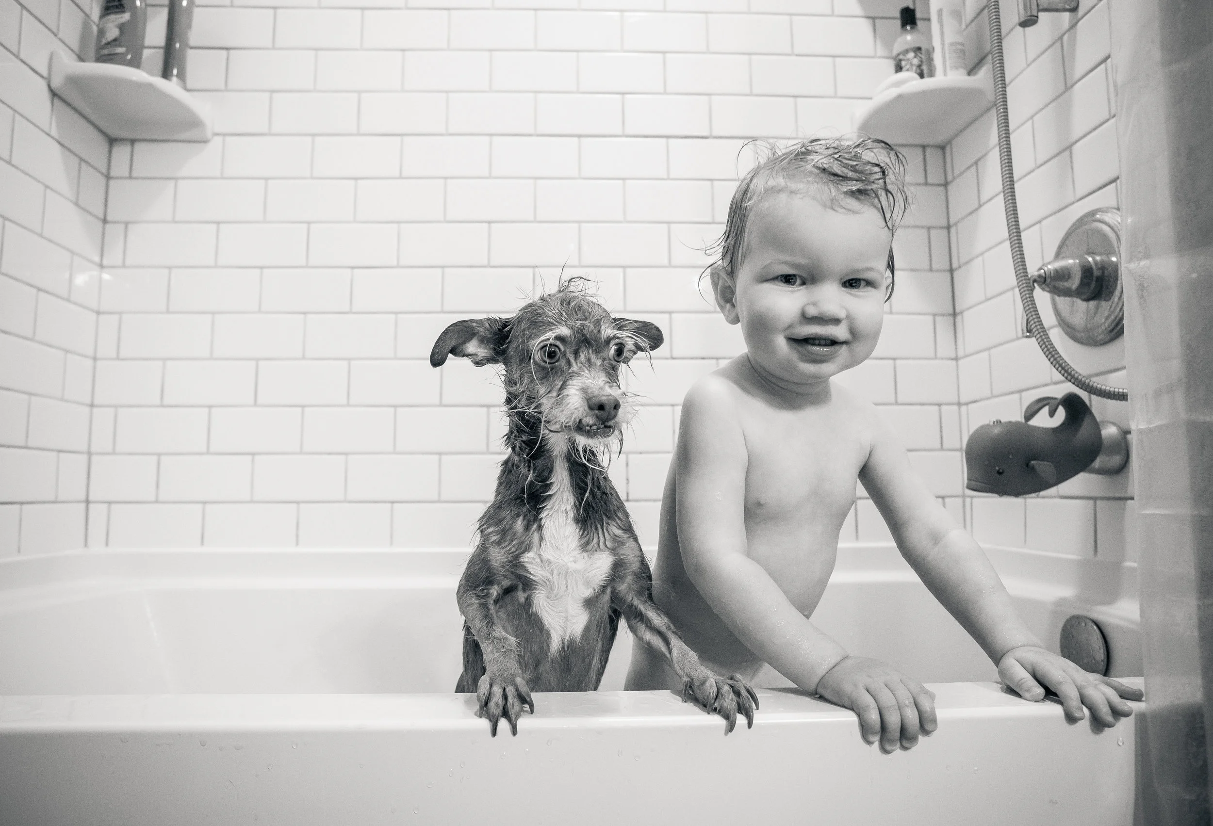 Tub2-001.jpg
