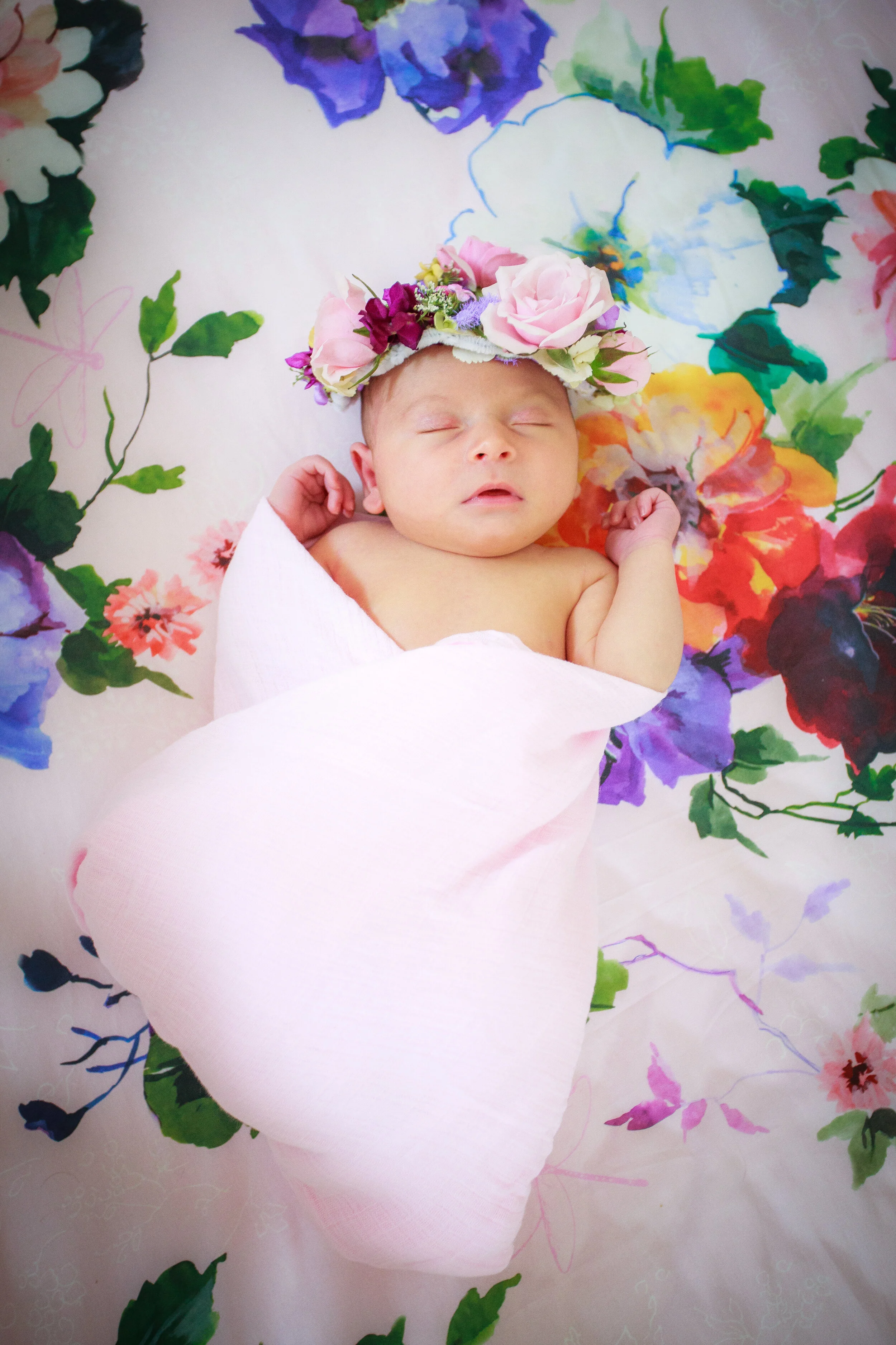 maddie-002.jpg