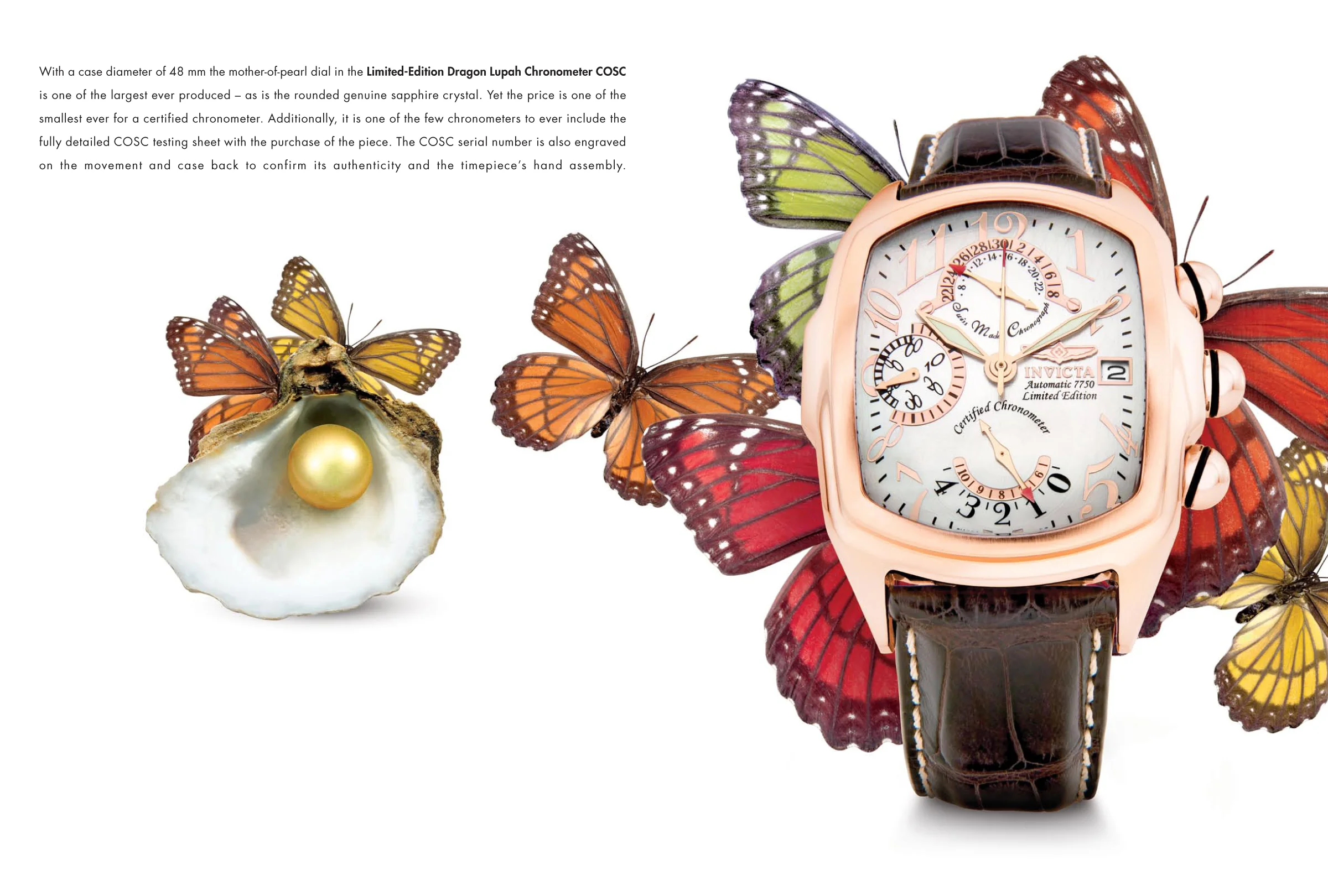 IN-12PageInsert-02-LR-3.jpg