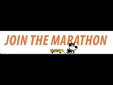 Invicta Watch Puppy - Marathon