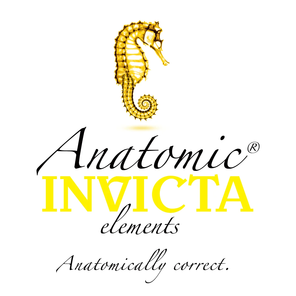 IN-07-Anatomic-Logo-03-OnWhite-CMYK.jpg