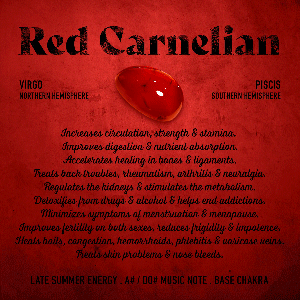 Red Carnelian (Copy)