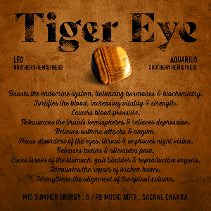 Tiger Eye NFT (Copy)