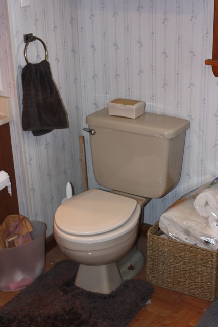  ​shitty toilet 