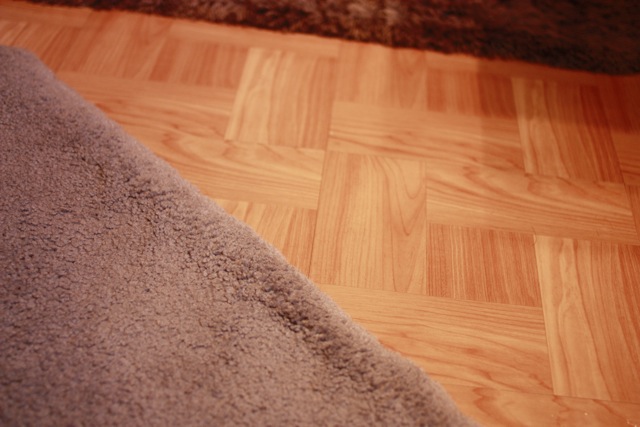  which is uglier: blue carpet or fake wood linoleum?  ​ 