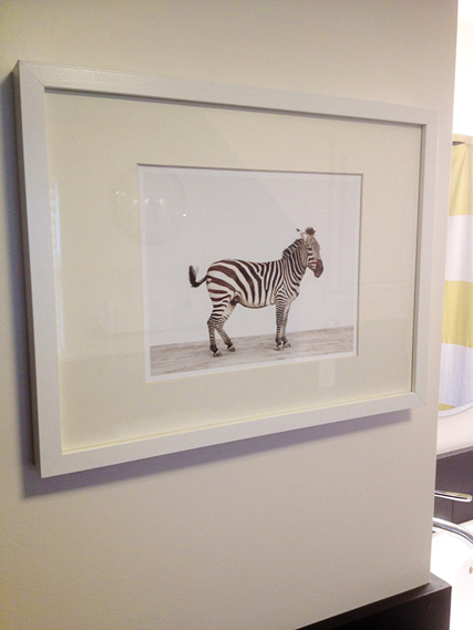 zebra print from Sharon Montrose in an IKEA frame