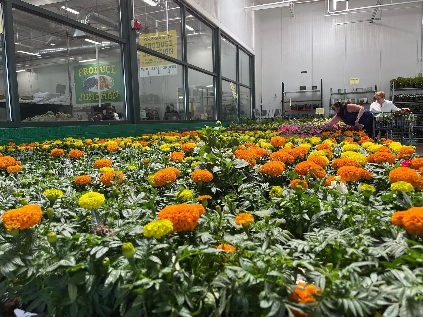 Produce Junction Locations