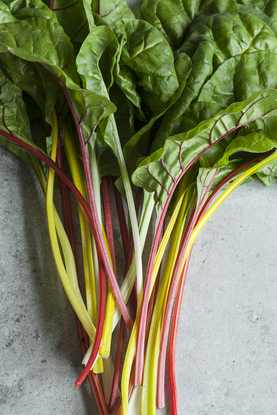 Chard 2.jpg